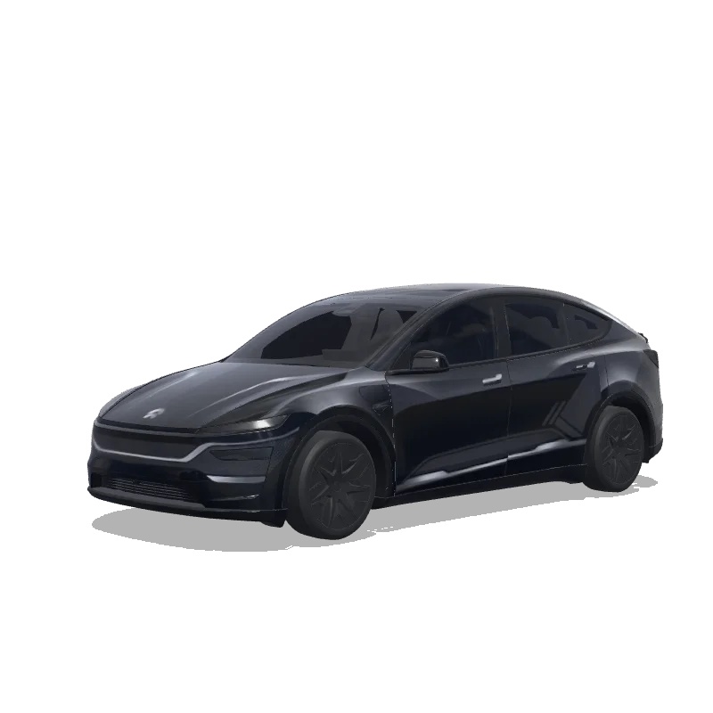 Model Y L