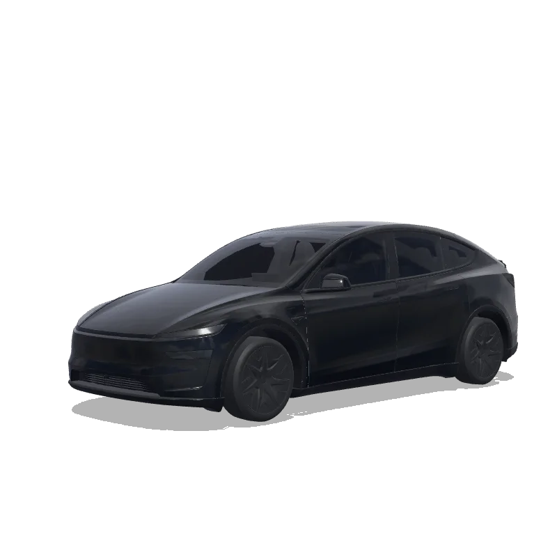 Model Y L