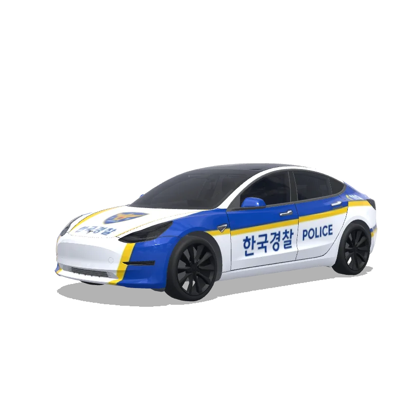 Custom Model 3 Wrap Design