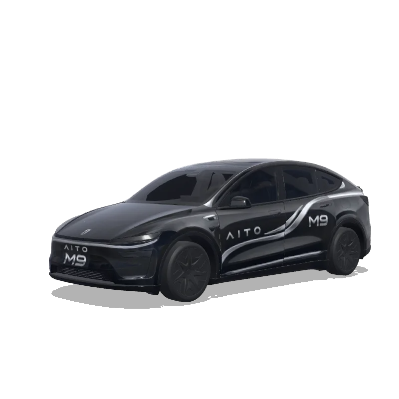 Model Y L