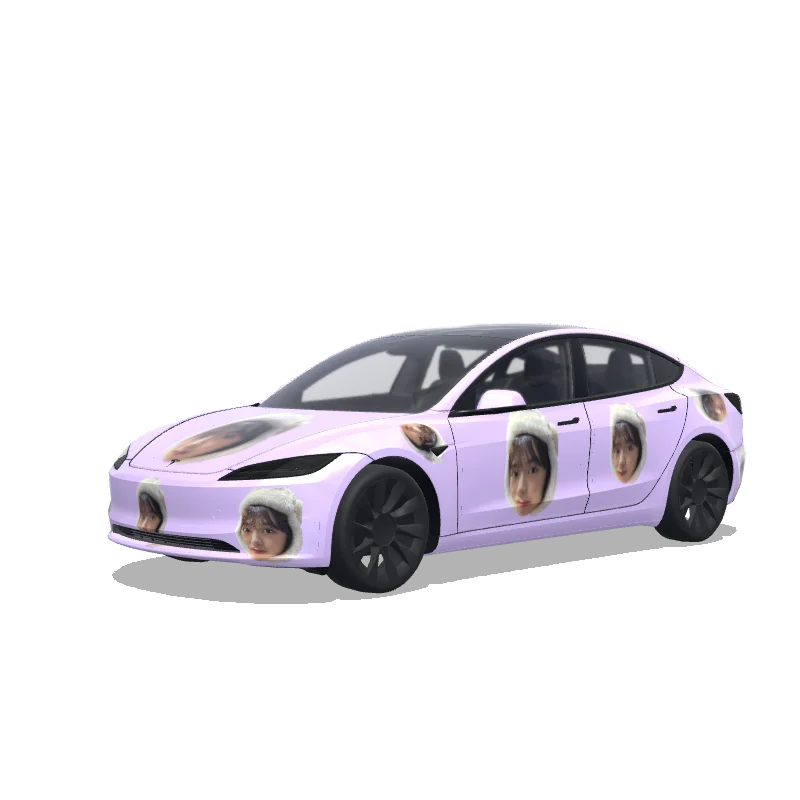 Model 3 (2024+) Standard & Premium Design