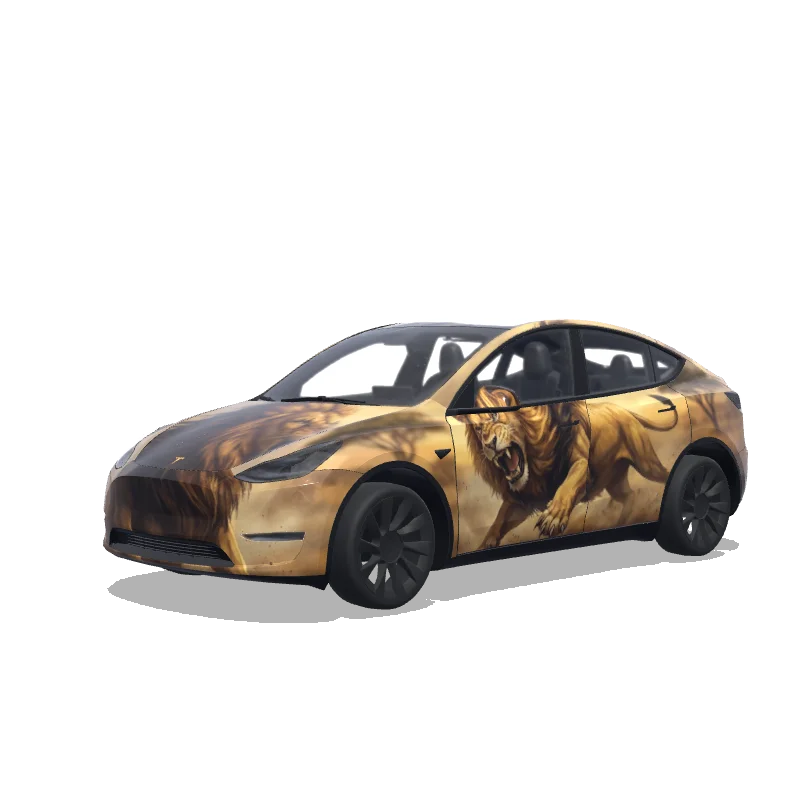 Custom Model Y Wrap Design