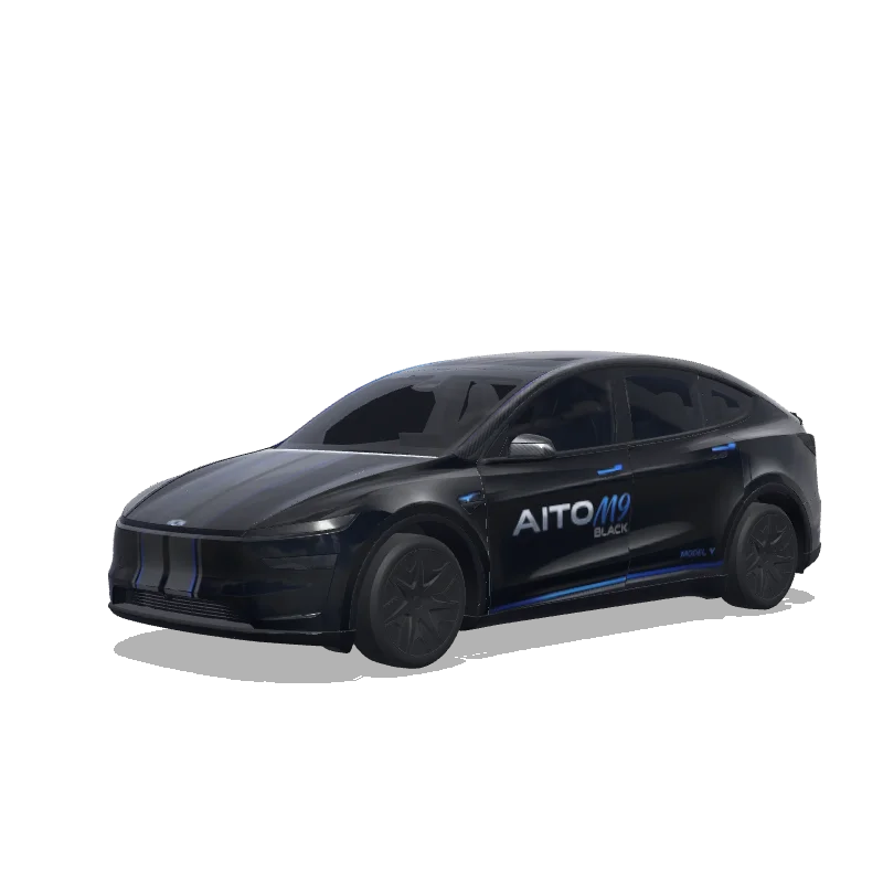 Model Y L