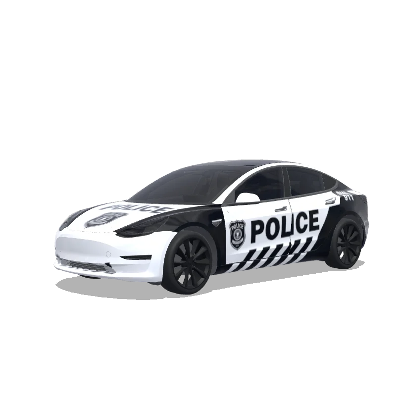 Custom Model 3 Wrap Design