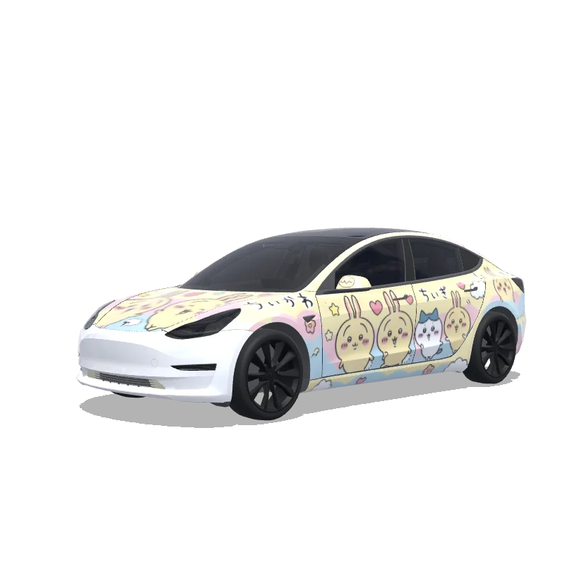 Custom Model 3 Wrap Design