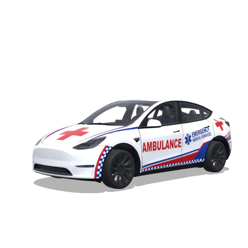 Custom Model Y Wrap Design