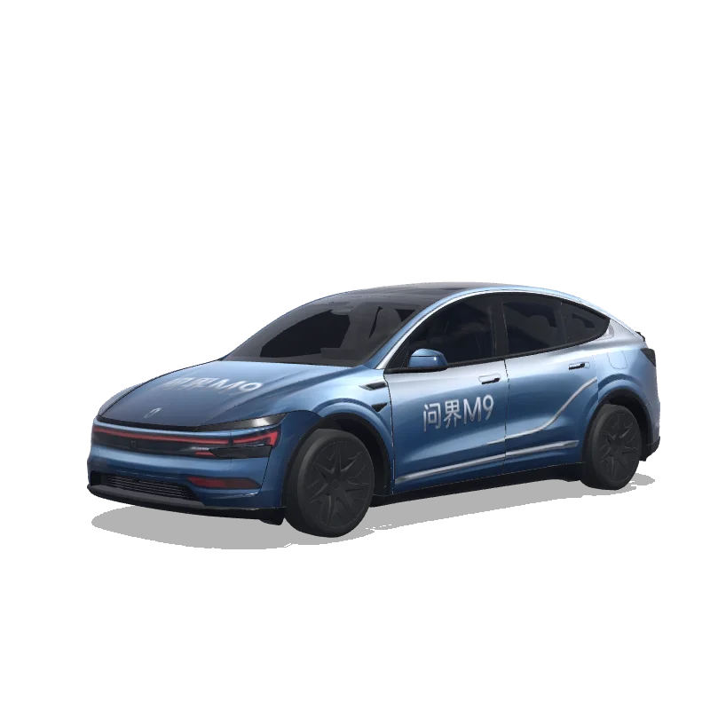 Model Y L