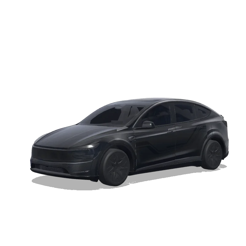 Model Y L