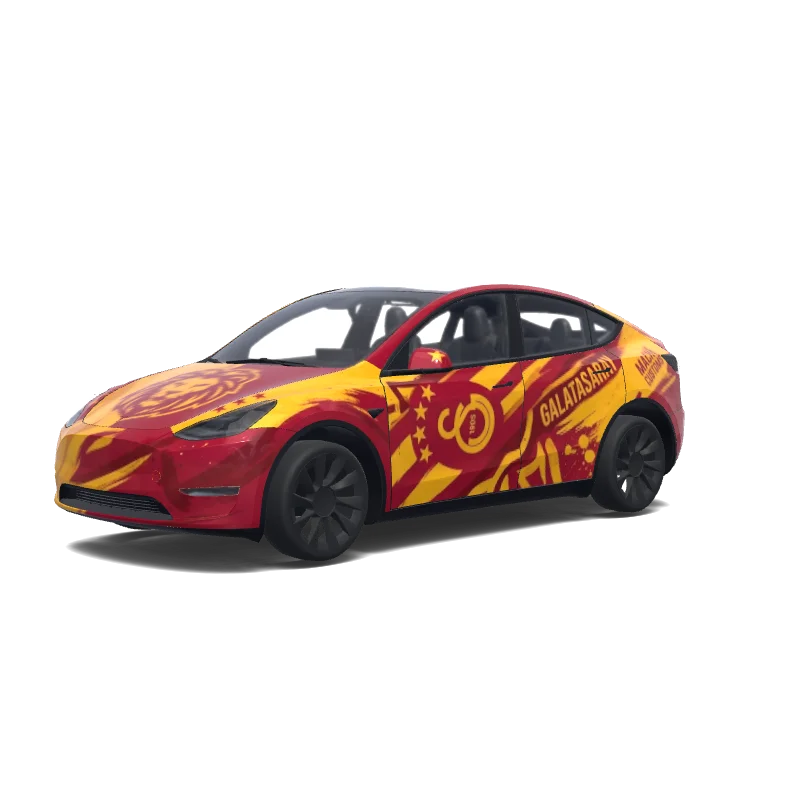 Model Y