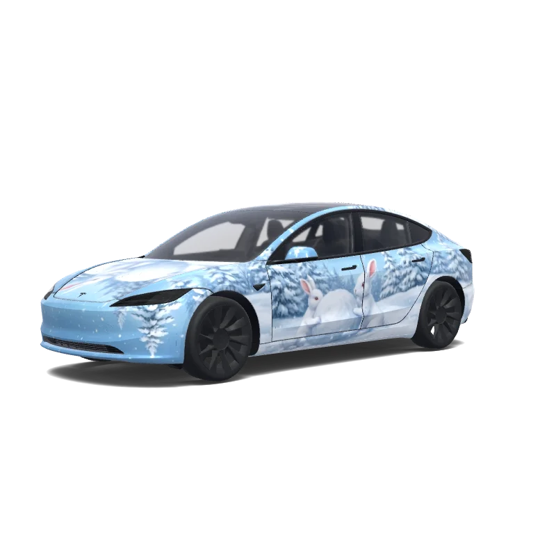 Model 3 (2024+) Standard & Premium