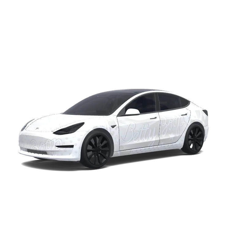 Model 3