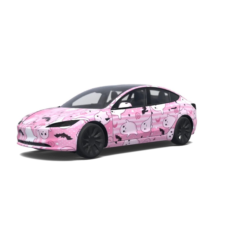 Model 3 (2024+) Standard & Premium