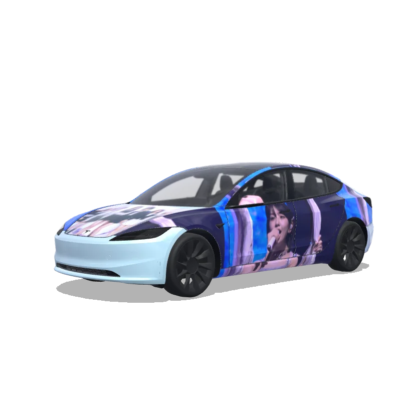 Model 3 (2024+) Standard & Premium Design