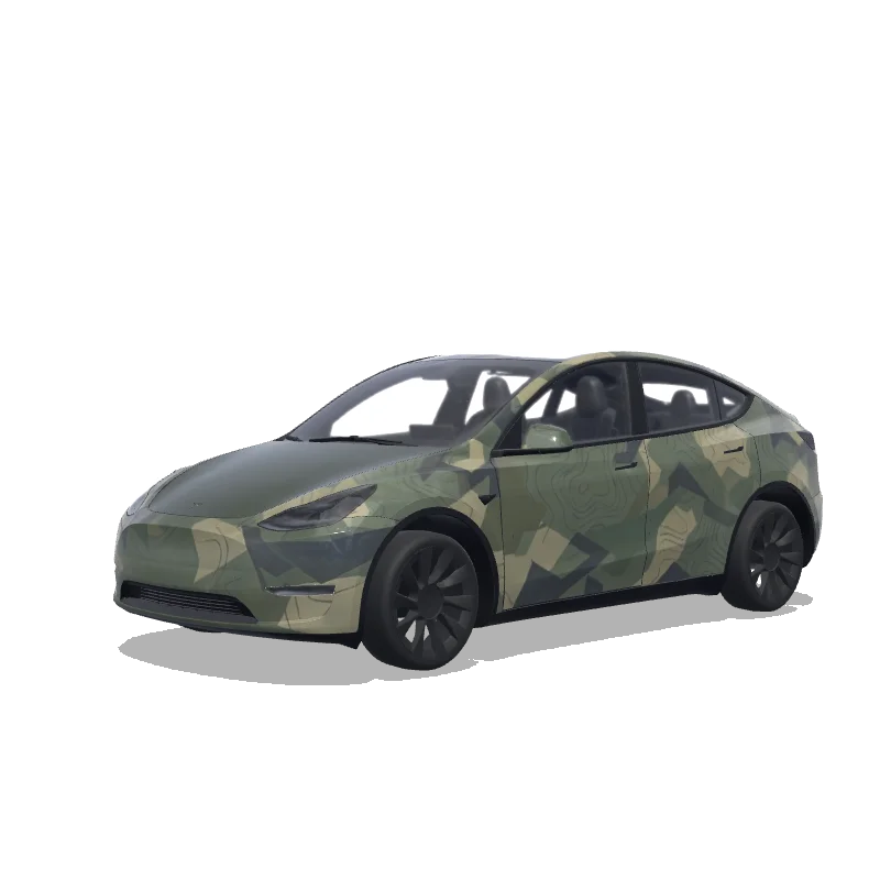 Model Y