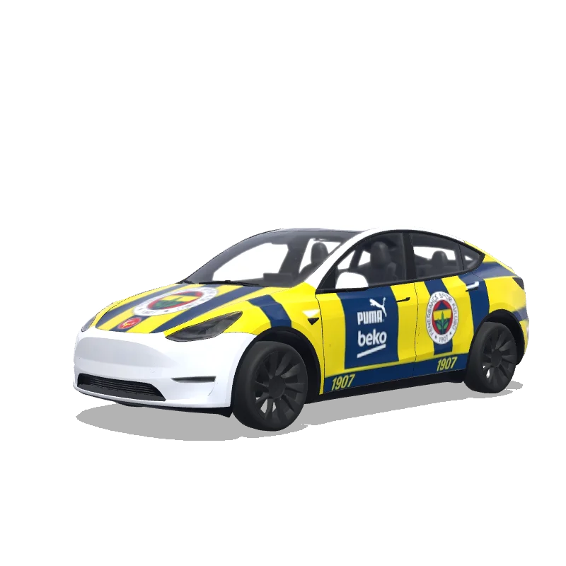 Custom Model Y Wrap Design