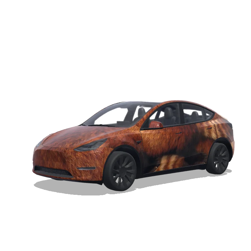Model Y