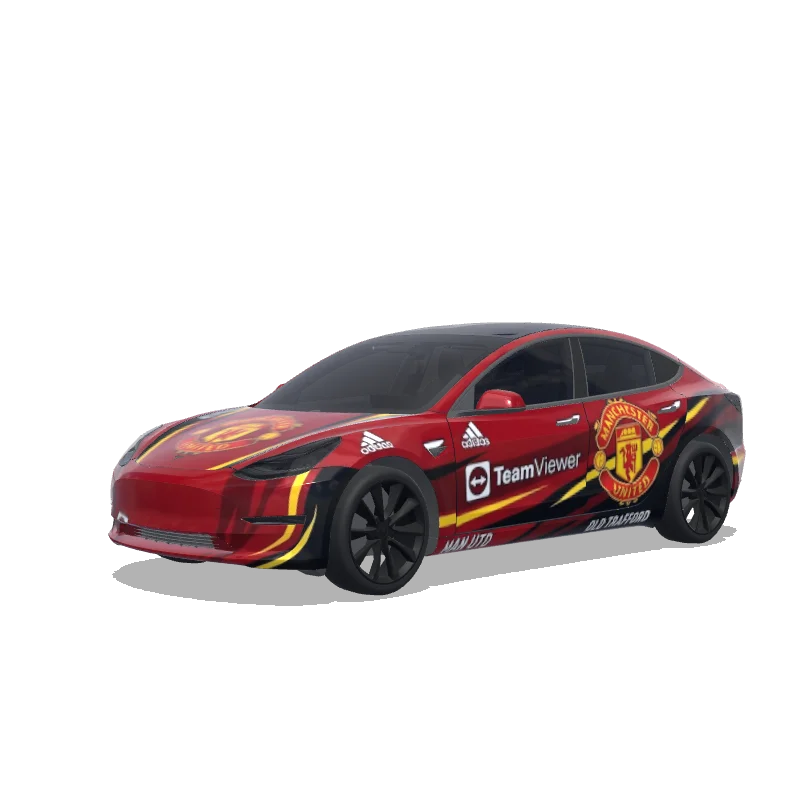 Custom Model 3 Wrap Design