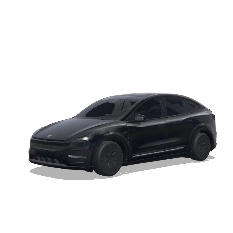 Model Y L