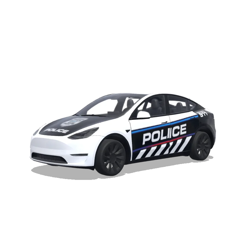 Custom Model Y Wrap Design