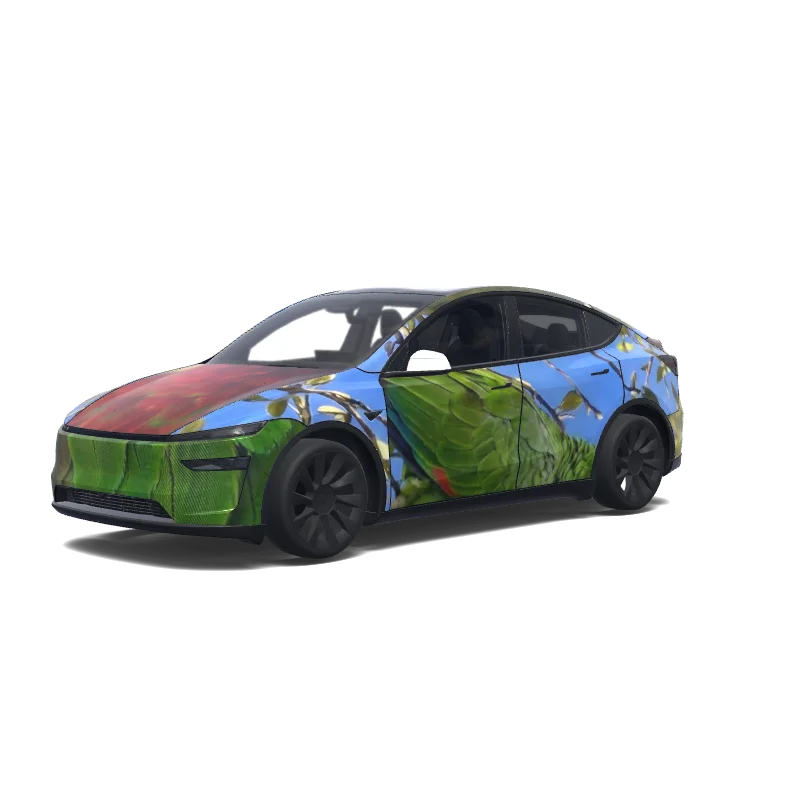 Model Y (2025+) Premium