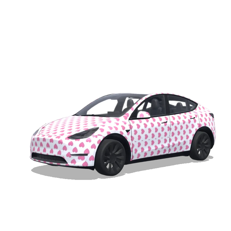 Model Y