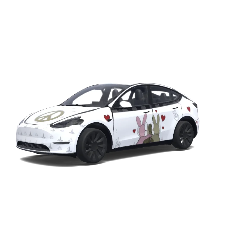 Model Y Design